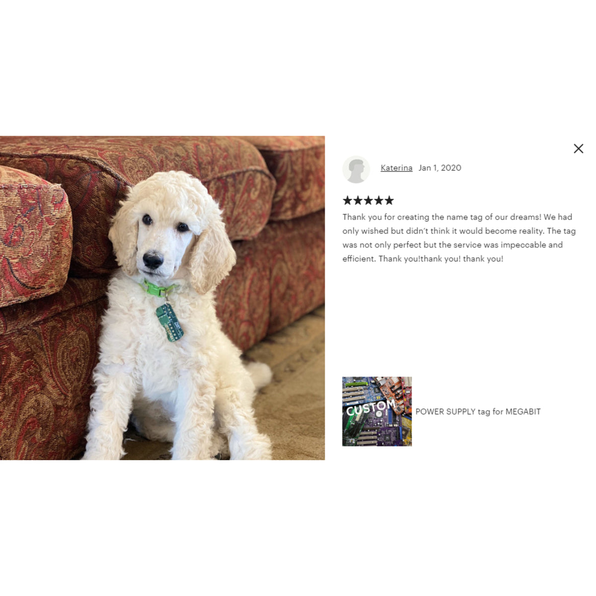 Dog ID Tag - TechWears Ltd