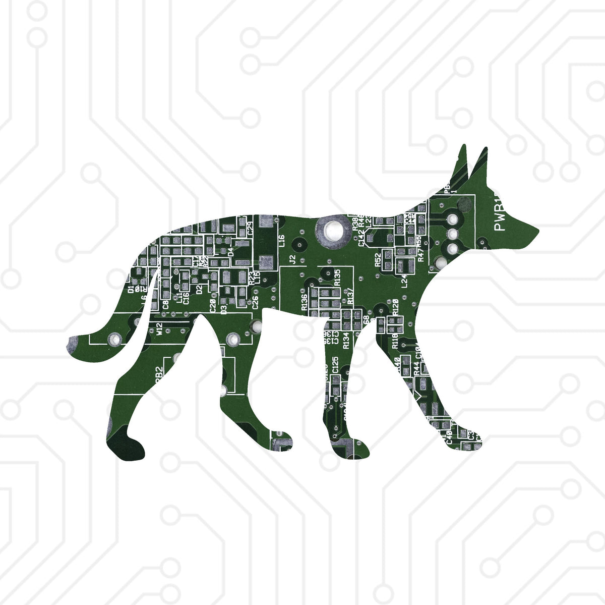 Dingo - TechWears Ltd