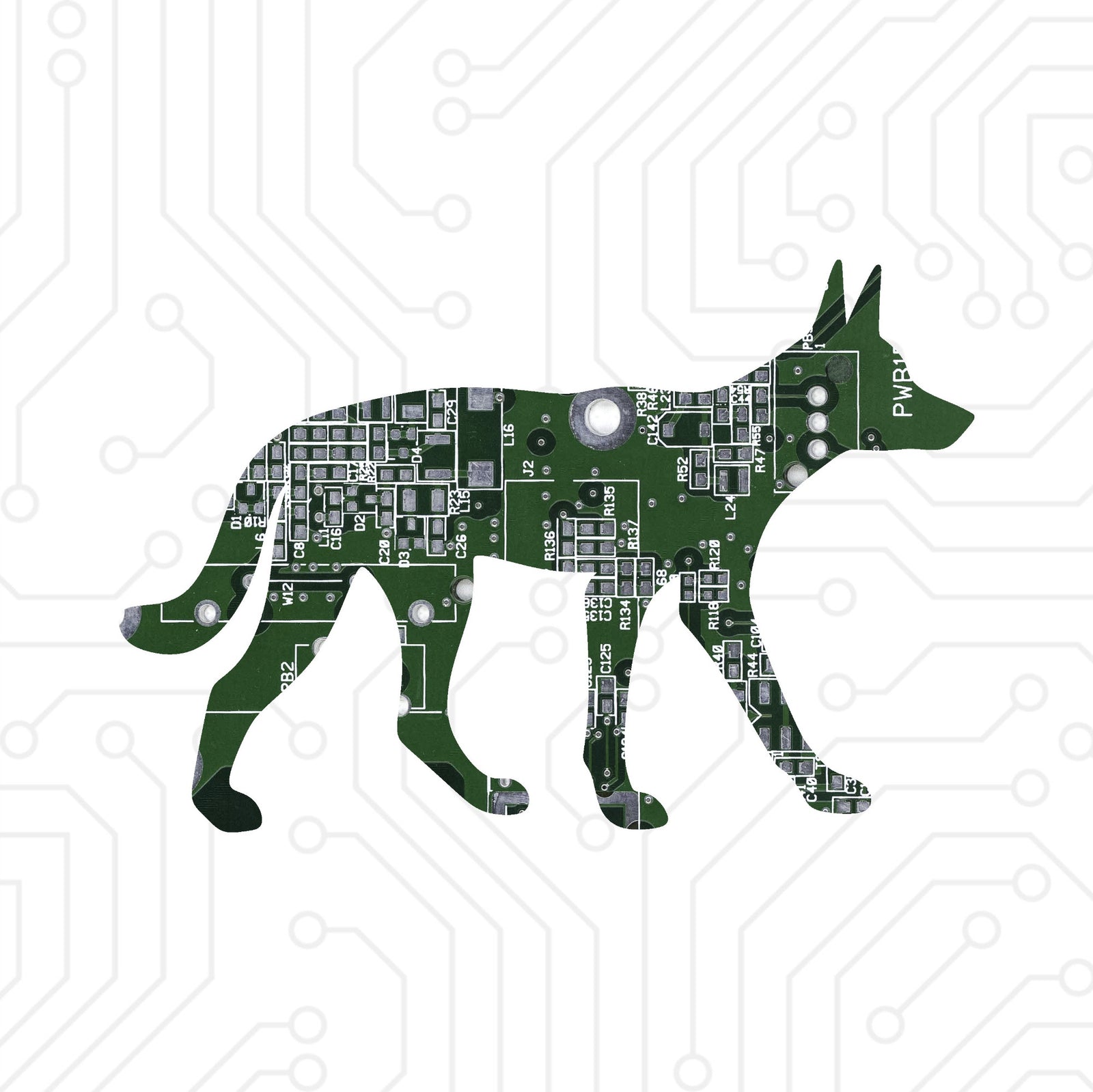 Dingo - TechWears Ltd