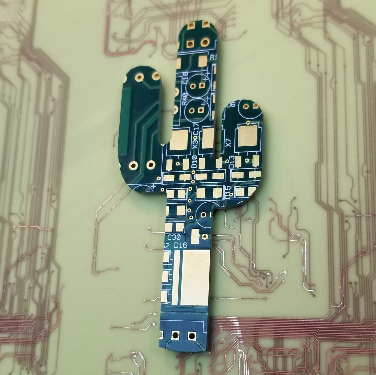 Cactus - TechWears Ltd