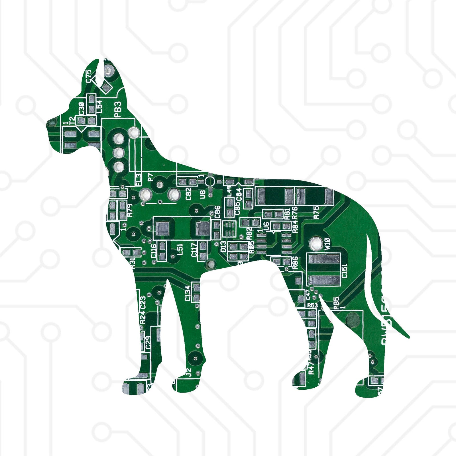 Great Dane - TechWears Ltd