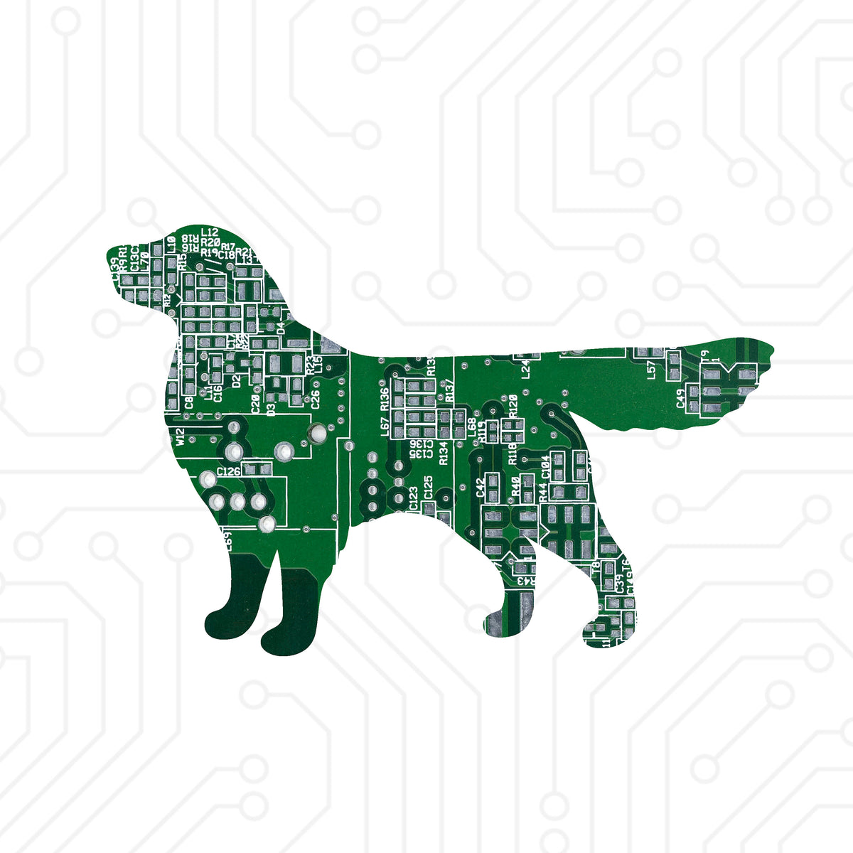 Golden Retriever - TechWears Ltd