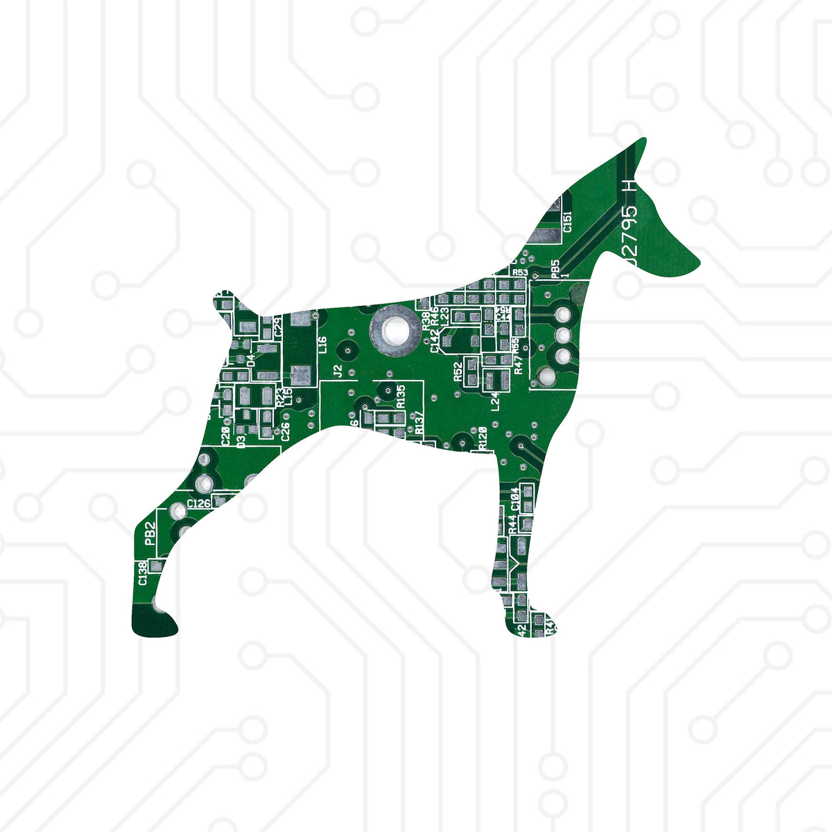 Doberman - TechWears Ltd