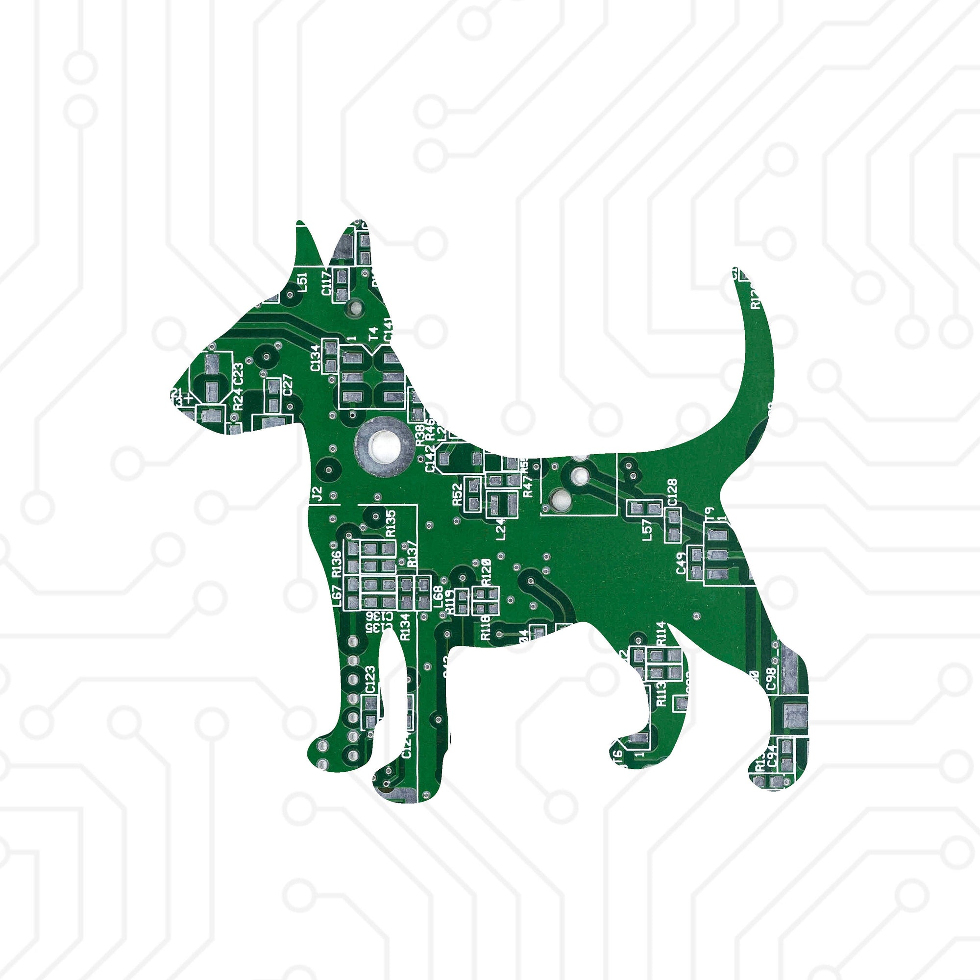 Bull Terrier - TechWears Ltd