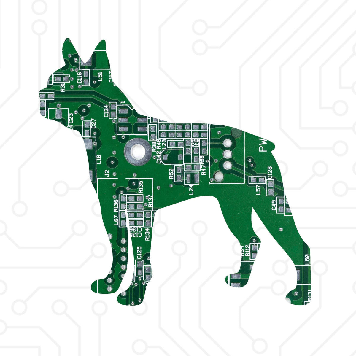 Boston Terrier - TechWears Ltd