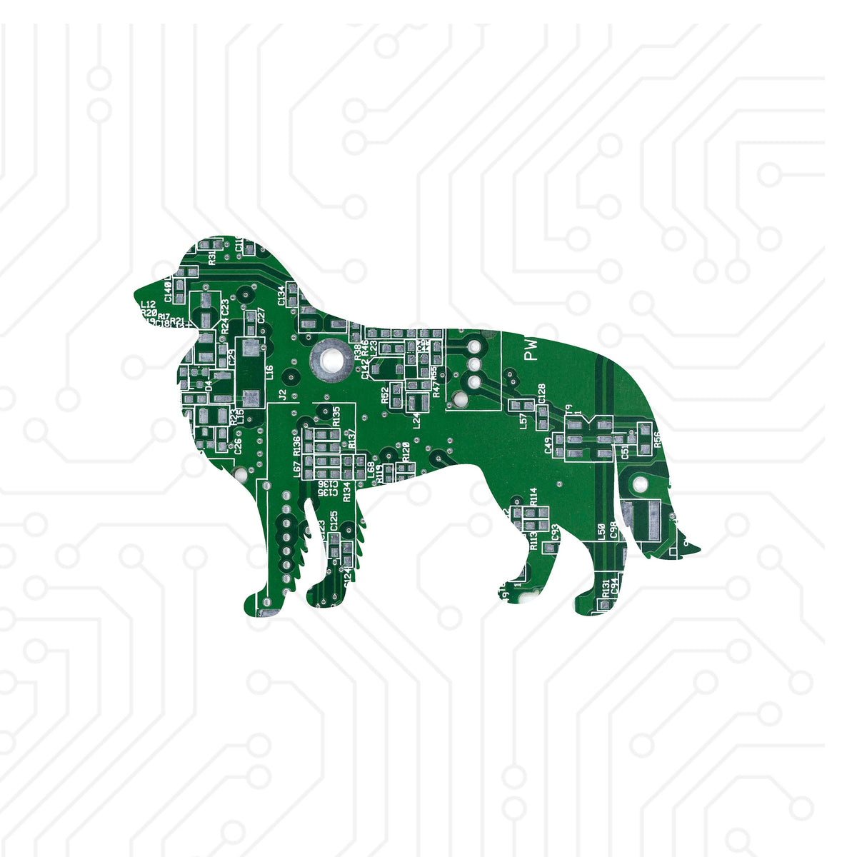 Border Collie - TechWears Ltd