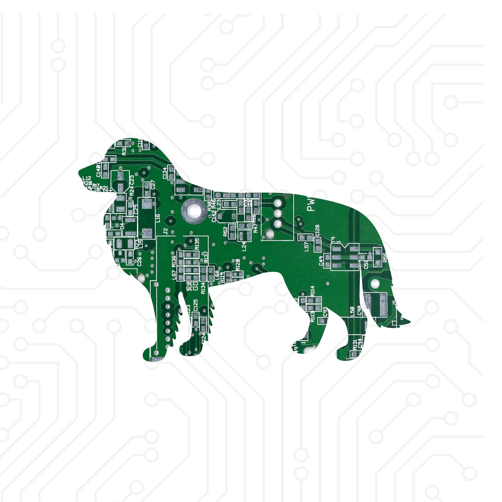 Border Collie - TechWears Ltd