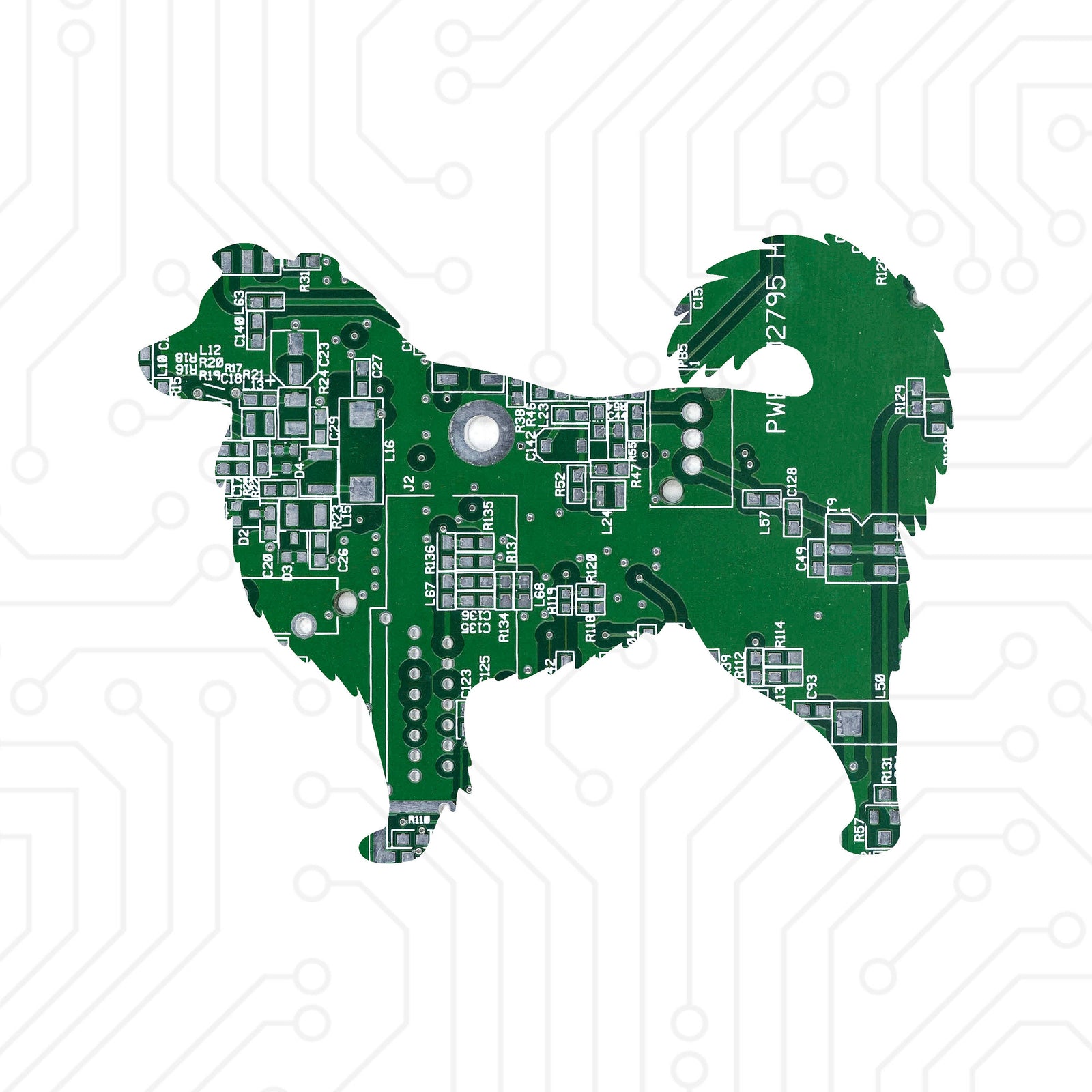 Australian Shepherd - TechWears Ltd