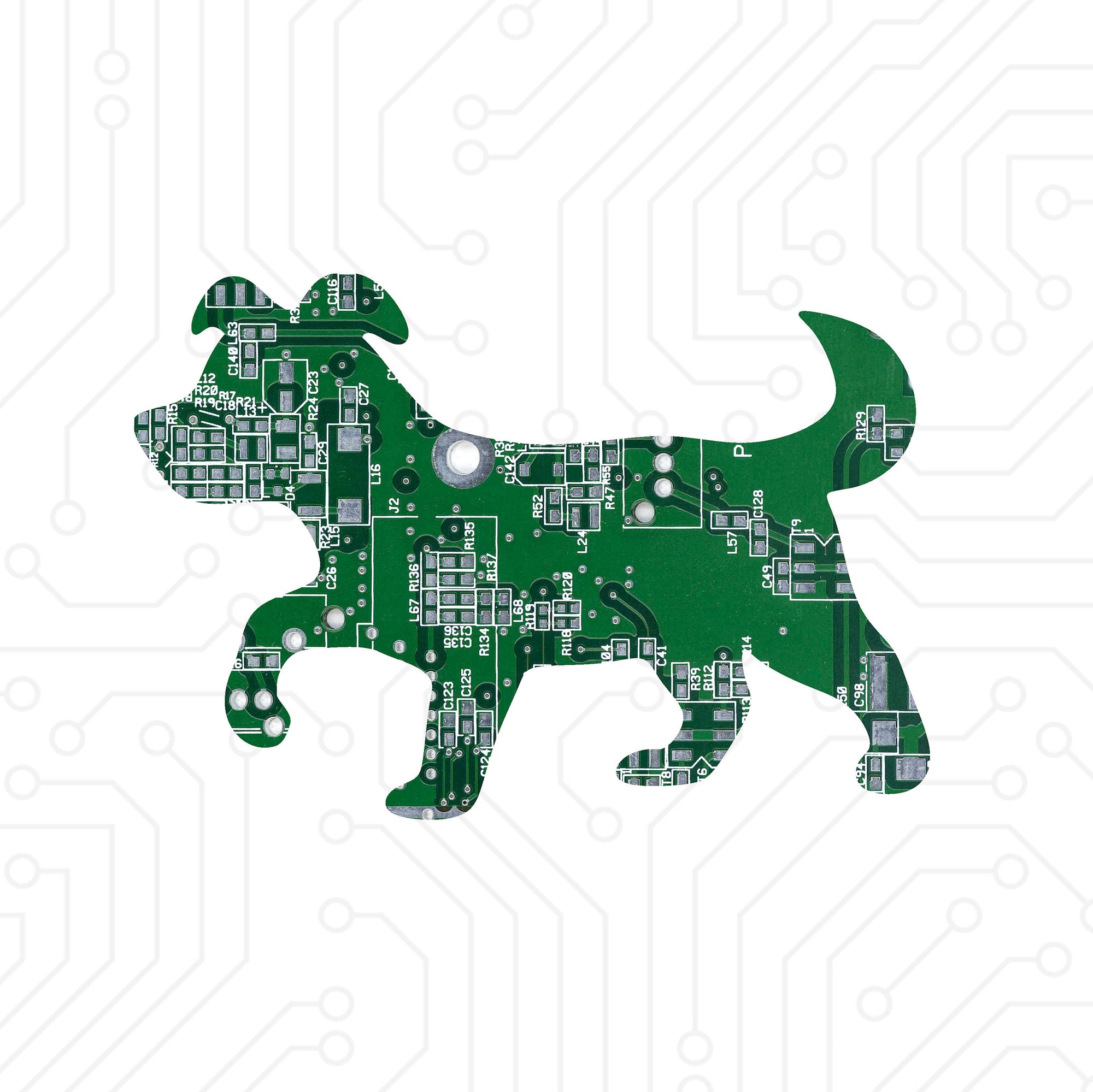 Puppy - TechWears Ltd