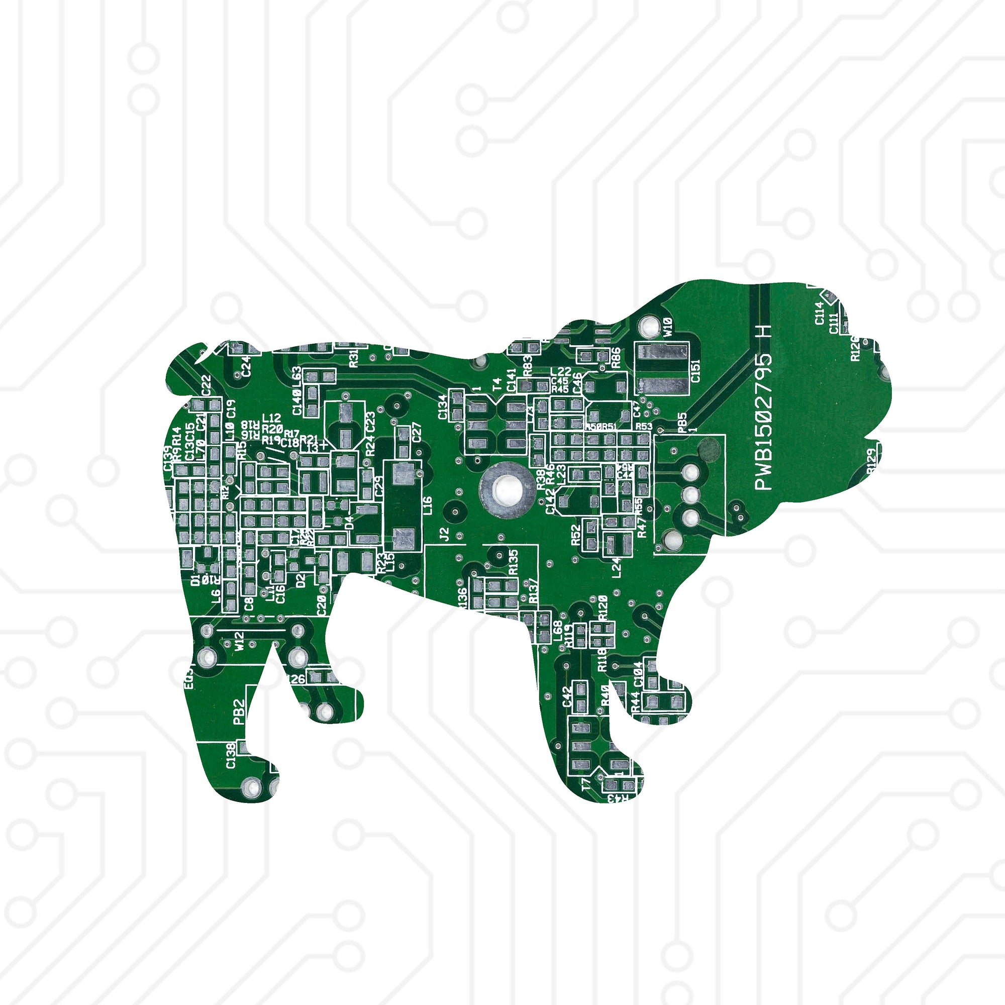 Bulldog - TechWears Ltd