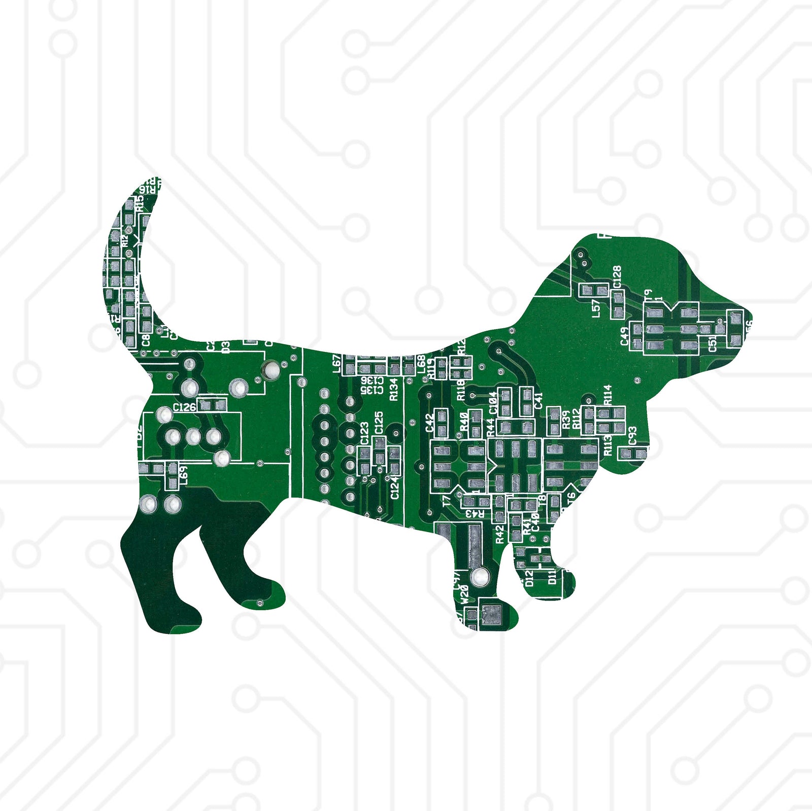 Basset Hound - TechWears Ltd